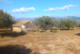 Tivenys 11000&nbsp;м²