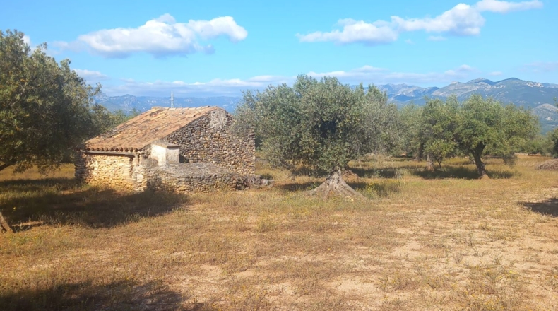 Tarragona - Тивенис - 11000m2