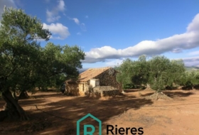 Tivenys 11000&nbsp;м²