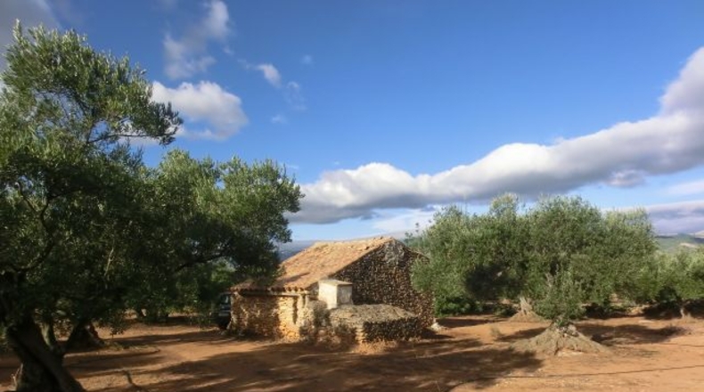 Tarragona - Тивенис - 11000m2