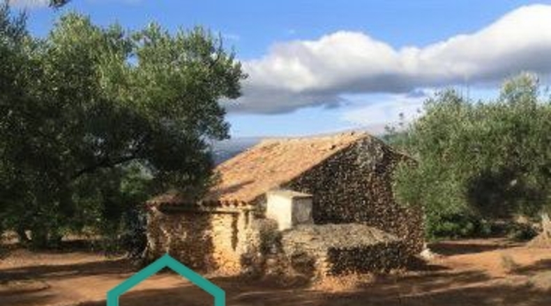 Tarragona - Тивенис - 11000m2