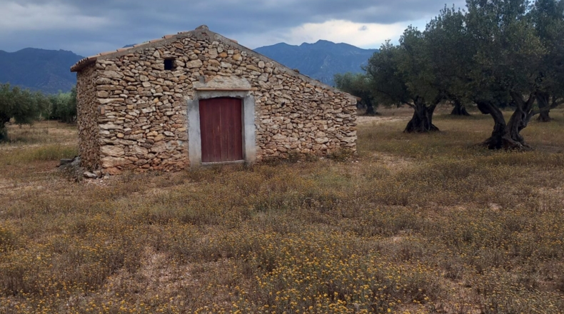 Tarragona - Тивенис - 11000m2
