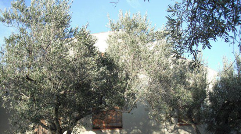 Tarragona - Aldover - 16317m2