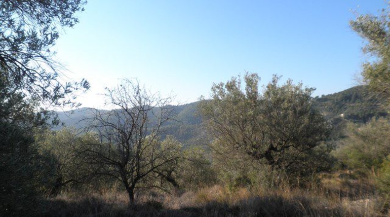 Tarragona - Tortosa - 61320m2