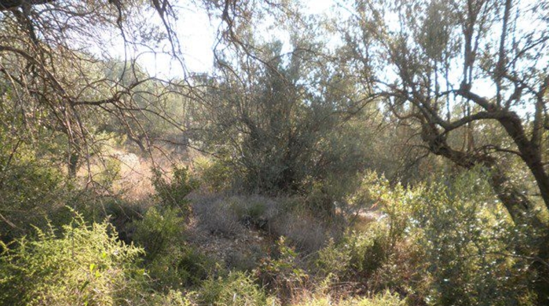 Tarragona - Tortosa - 61320m2