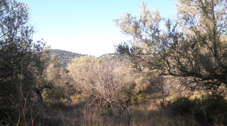 Tarragona - Tortosa - 61320m2