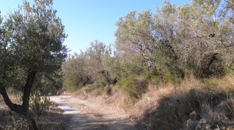 Tarragona - Tortosa - 61320m2