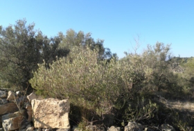 Foto 14