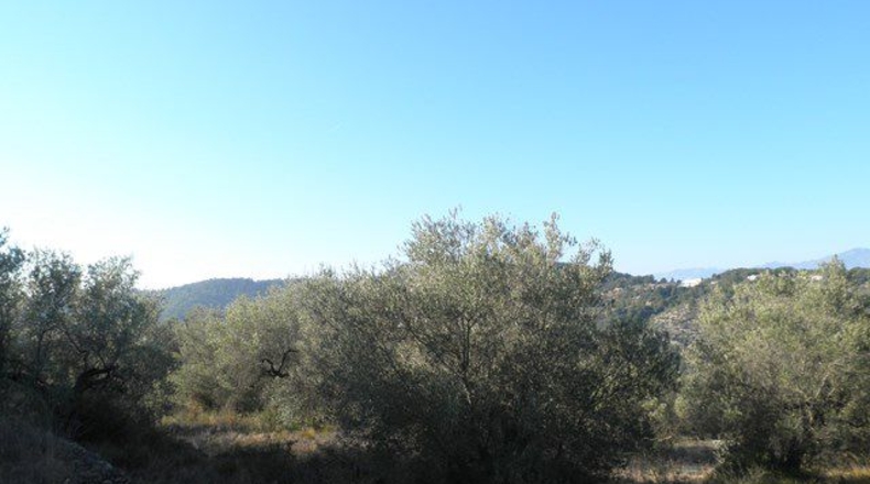 Tarragona - Tortosa - 61320m2