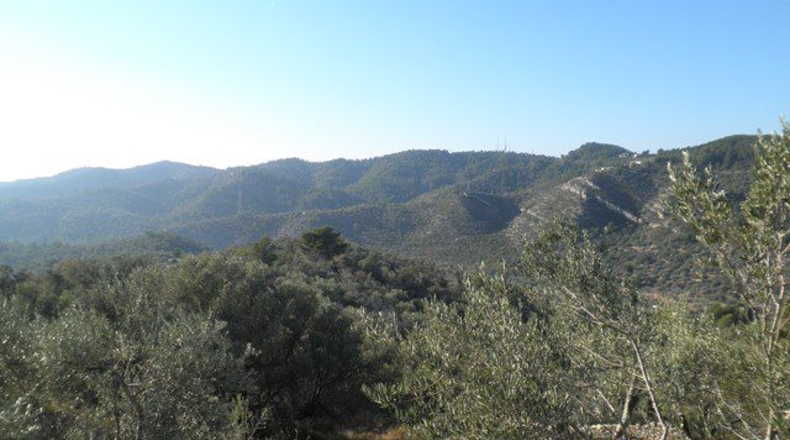 Tarragona - Tortosa - 61320m2