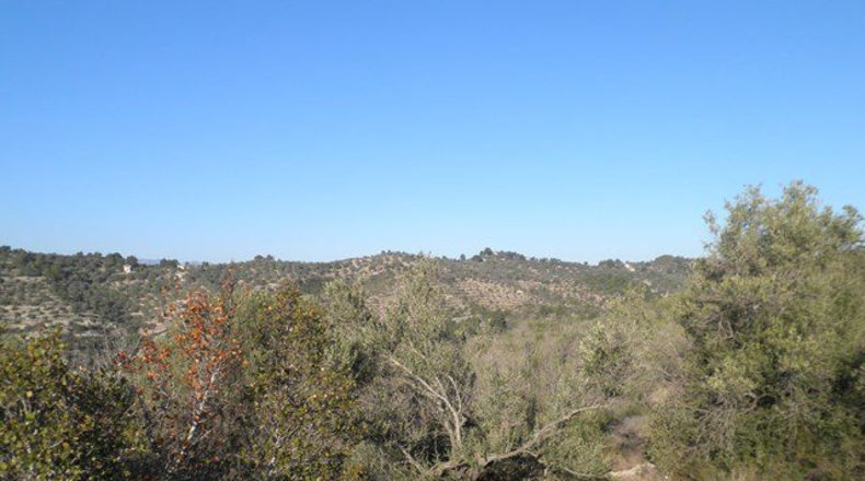 Tarragona - Tortosa - 61320m2