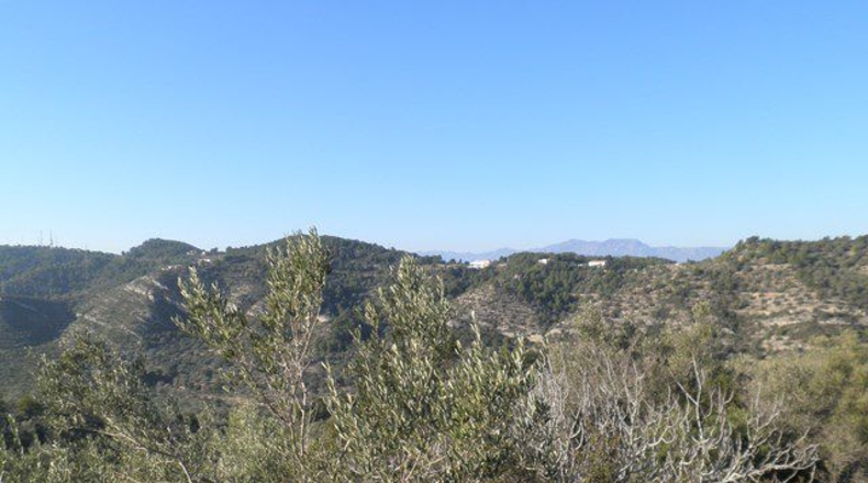 Tarragona - Tortosa - 61320m2