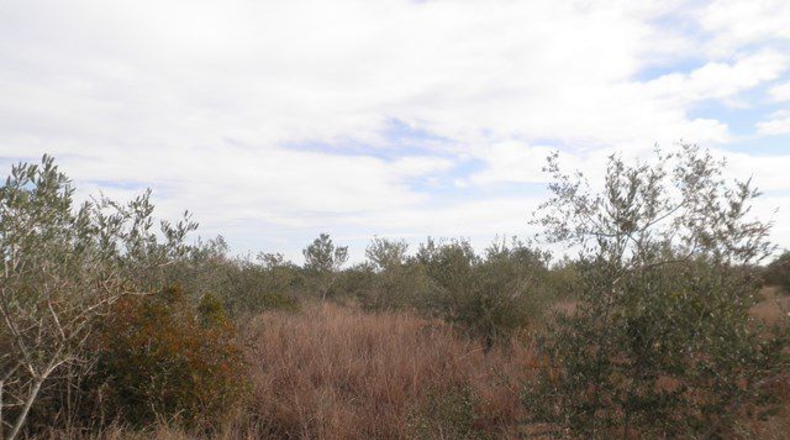 Tarragona - Camarles - 25857m2