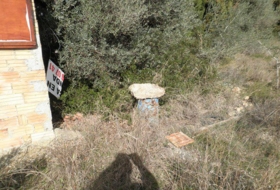 Foto 8