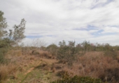 Terreno no urbanizable en venta en Camarles ref: TR385596 foto