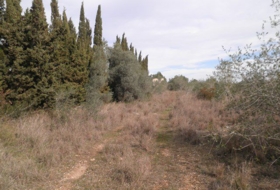Foto 7