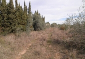 Terreno no urbanizable en venta en Camarles ref: TR385596 foto