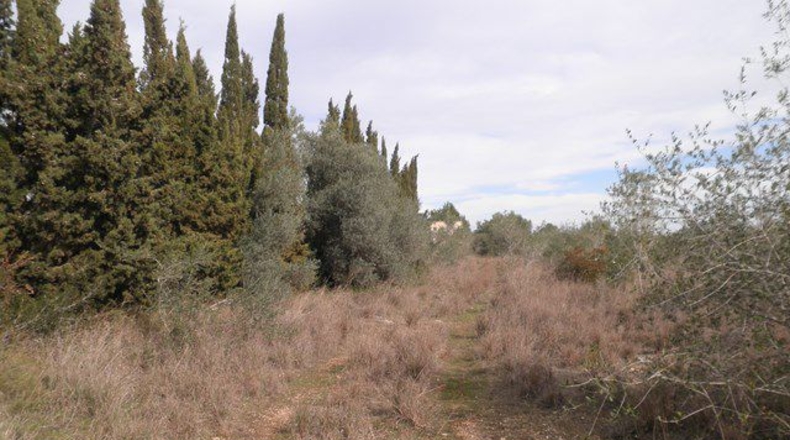 Tarragona - Camarles - 25857m2