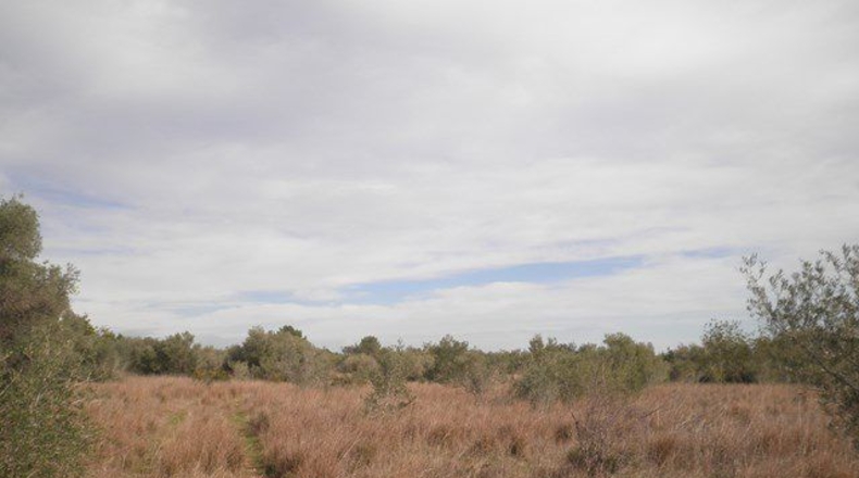 Tarragona - Camarles - 25857m2