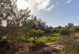 Horta de Sant Joan 26832&nbsp;m²