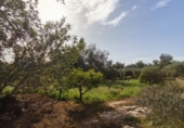Finca rústica en venda a Horta de Sant Joan ref.: TR388242 foto