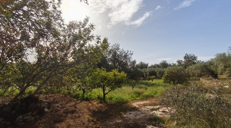 Tarragona - Aldover - 26832m2