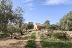 Horta de Sant Joan 26832&nbsp;m²