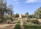 Finca rústica en venda a Horta de Sant Joan ref.: TR388242 foto