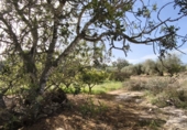 Finca rústica en venda a Horta de Sant Joan ref.: TR388242 foto