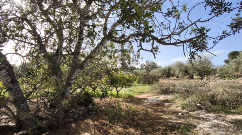 Tarragona - Aldover - 26832m2