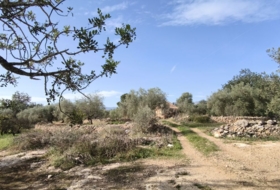 Horta de Sant Joan 26832&nbsp;m²