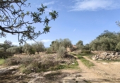 Finca rústica en venda a Horta de Sant Joan ref.: TR388242 foto