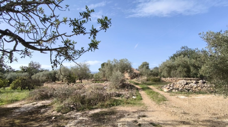 Tarragona - Aldover - 26832m2