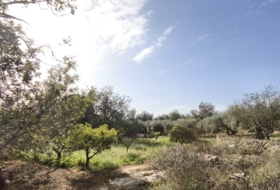 Horta de Sant Joan 26832&nbsp;m²