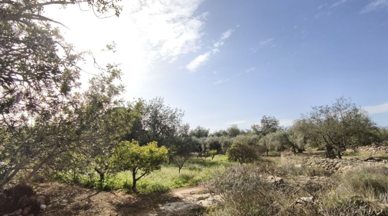 Tarragona - Aldover - 26832m2