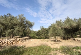 Horta de Sant Joan 26832&nbsp;m²