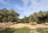 Finca rústica en venda a Horta de Sant Joan ref.: TR388242 foto
