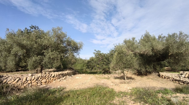 Tarragona - Aldover - 26832m2