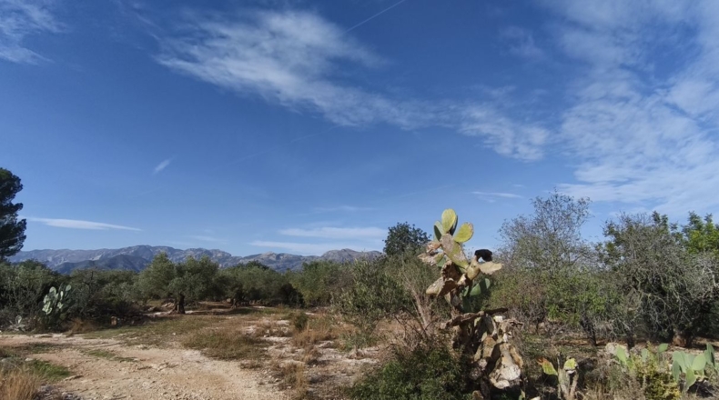 Tarragona - Aldover - 26832m2