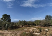 Finca rústica en venda a Horta de Sant Joan ref.: TR388242 foto