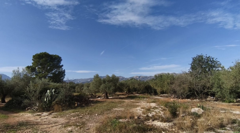 Tarragona - Aldover - 26832m2