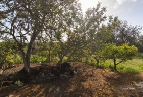 Horta de Sant Joan 26832&nbsp;m²