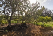 Finca rústica en venda a Horta de Sant Joan ref.: TR388242 foto