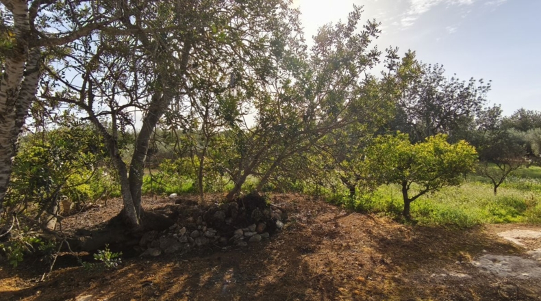Tarragona - Aldover - 26832m2