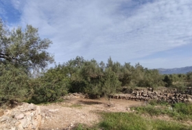 Horta de Sant Joan 26832&nbsp;m²
