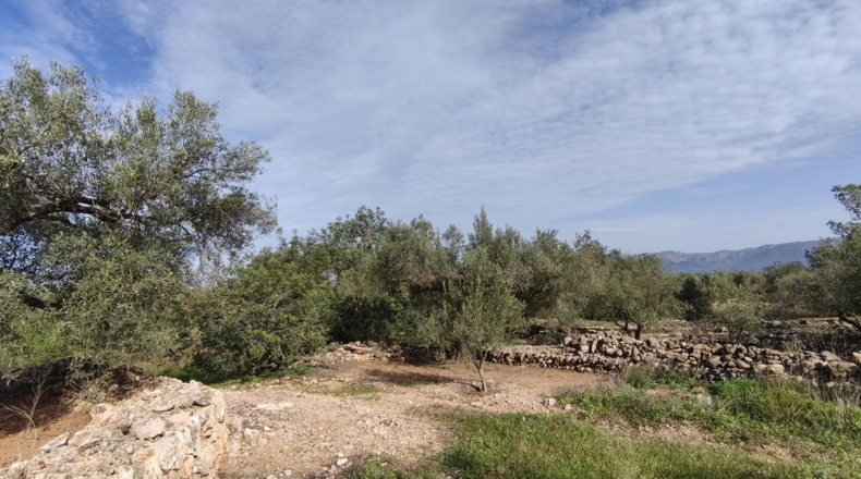 Tarragona - Aldover - 26832m2