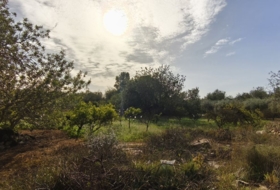 Horta de Sant Joan 26832&nbsp;m²