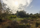 Finca rústica en venda a Horta de Sant Joan ref.: TR388242 foto