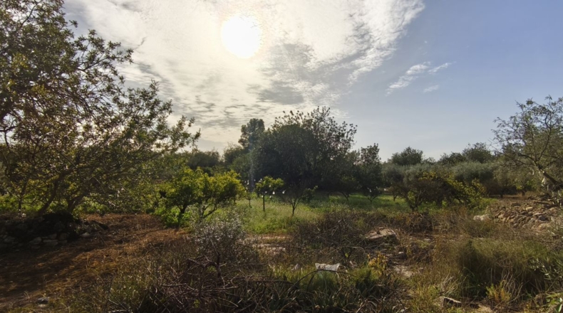 Tarragona - Aldover - 26832m2