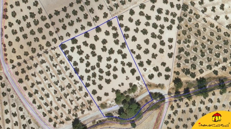 Granada - Moclín - 15266m2